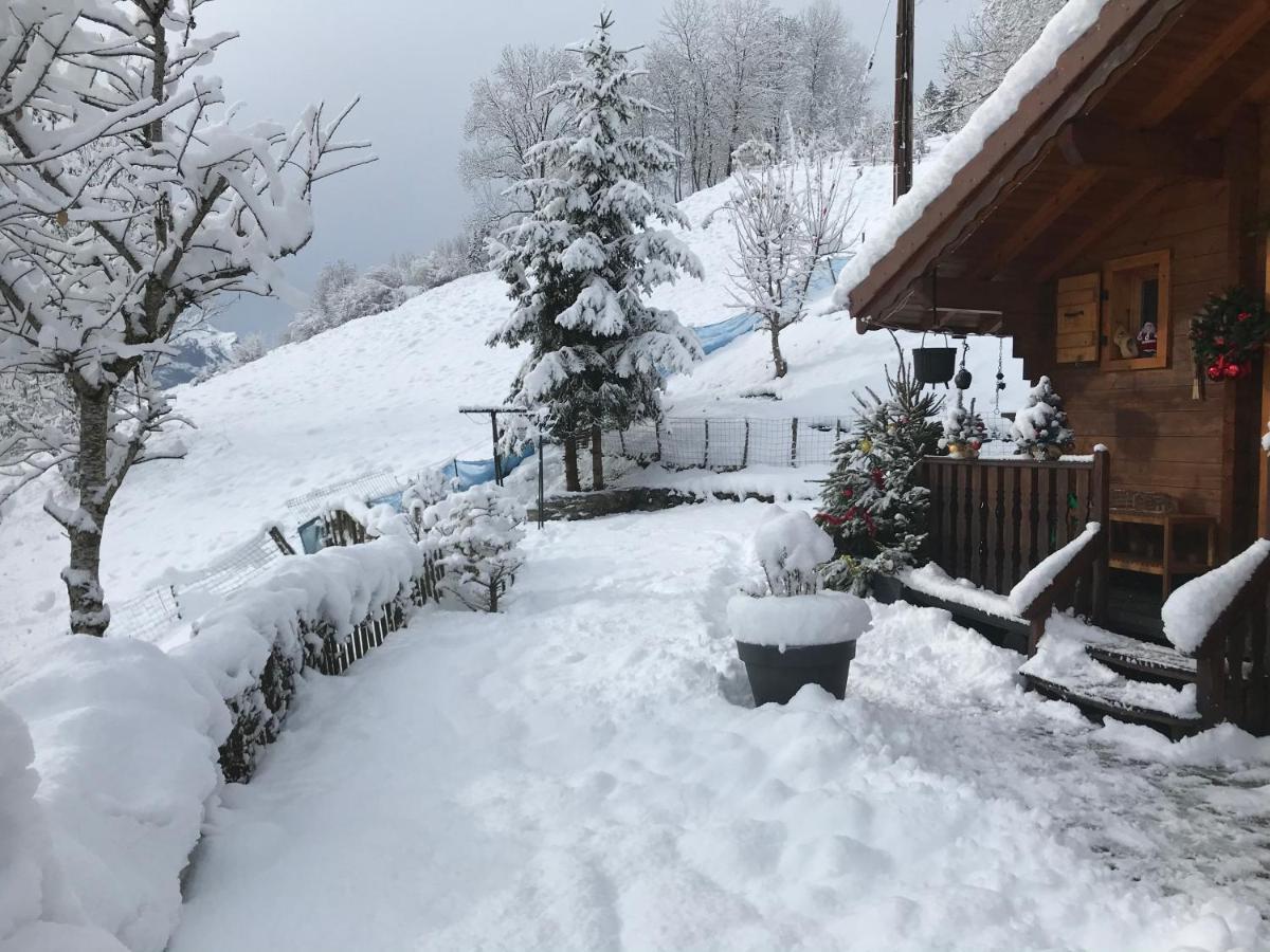 Villa Le Blanc Nordique Le Bouchet-Mont Charvin Exterior foto